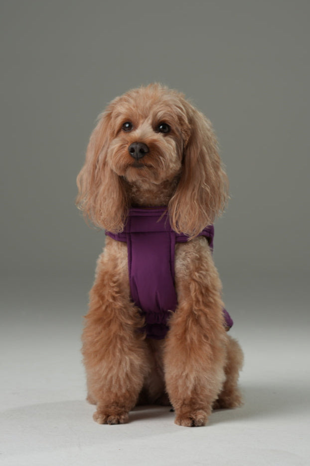 Reversible Dog Vest Jacket - Purple Caramel