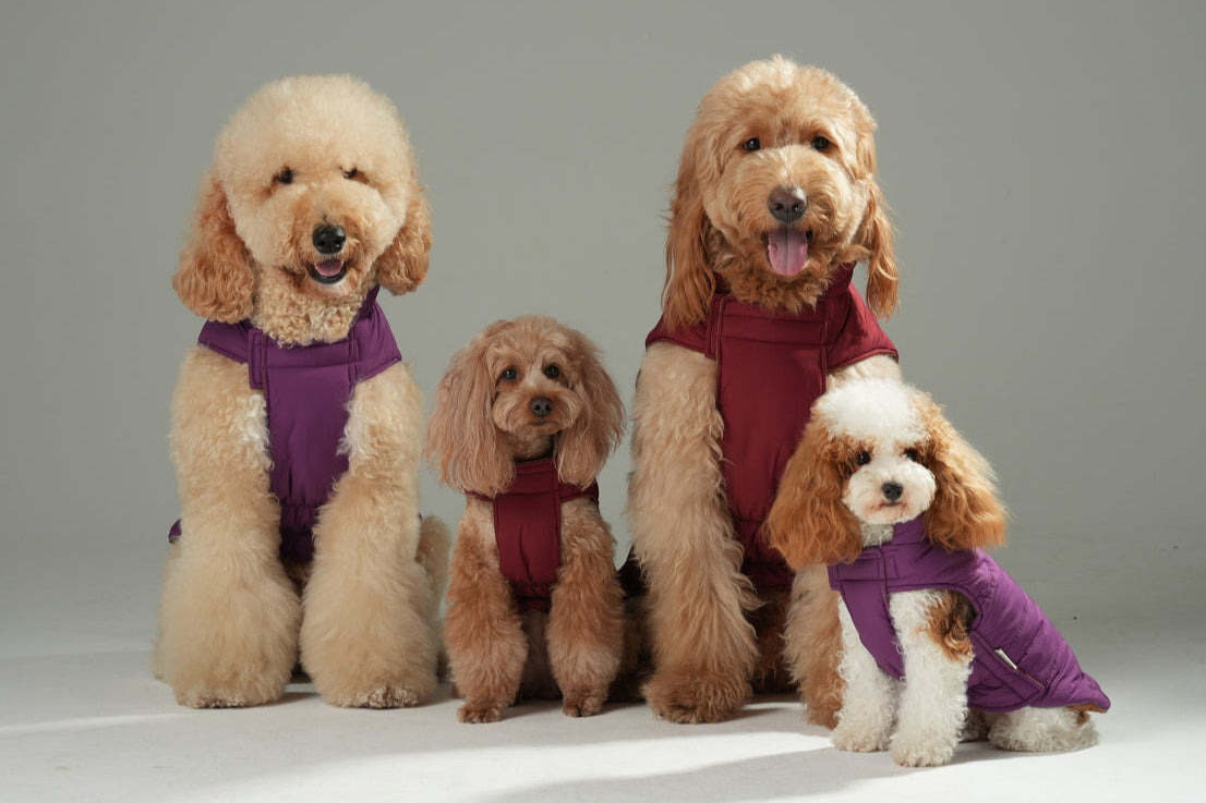 Reversible Dog Vest Jacket - Purple Caramel